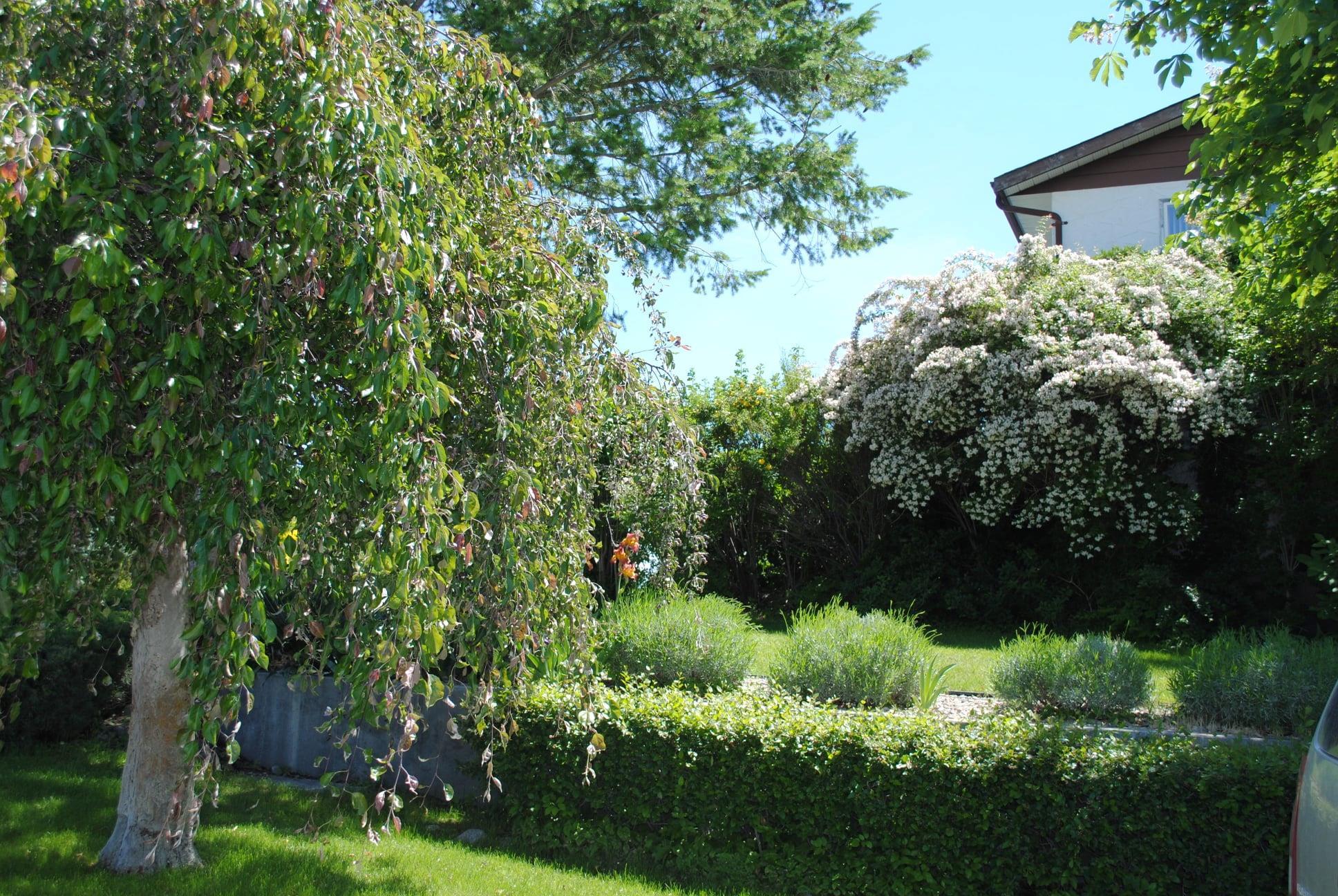 3 Dogwood Place Osoyoos V0H 1V1