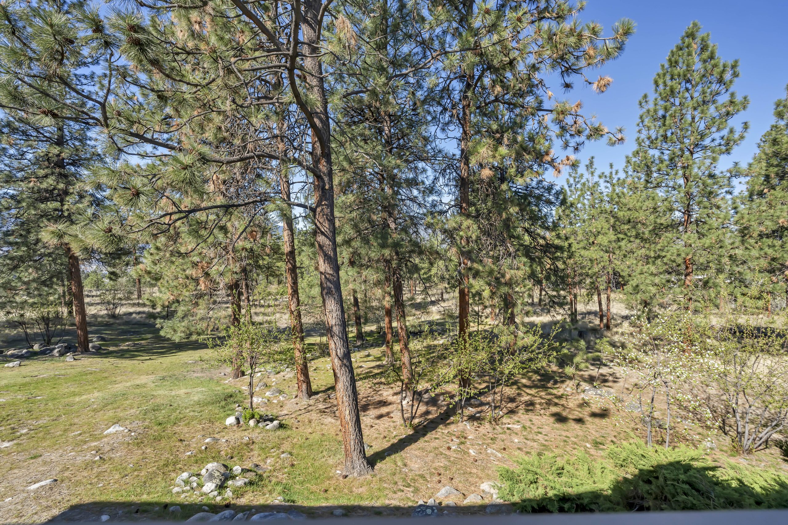 1634 Carmi Avenue 139 Penticton V2A 8K5