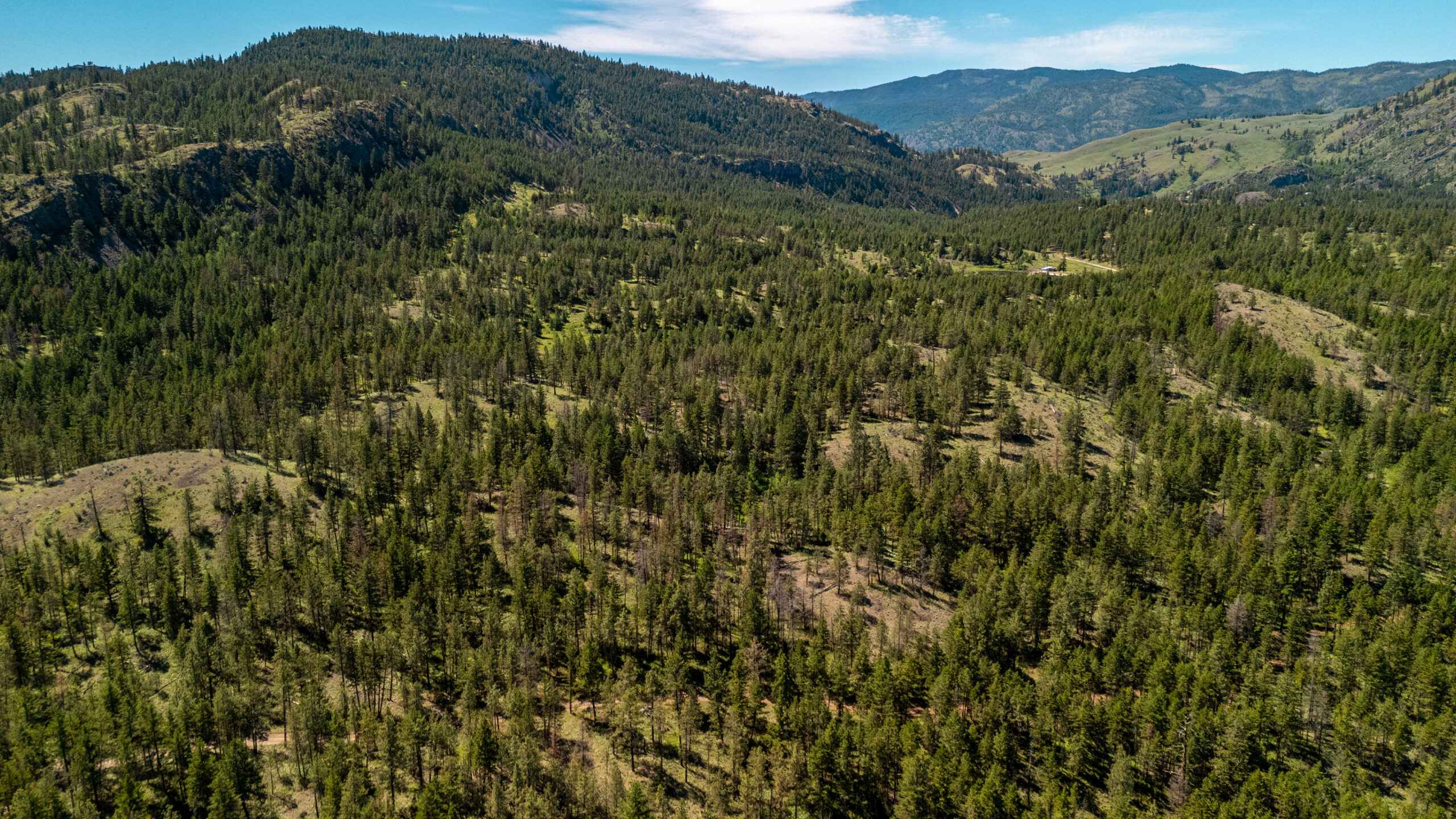 140 Turtle Lake Road Kaleden V0H 1R2