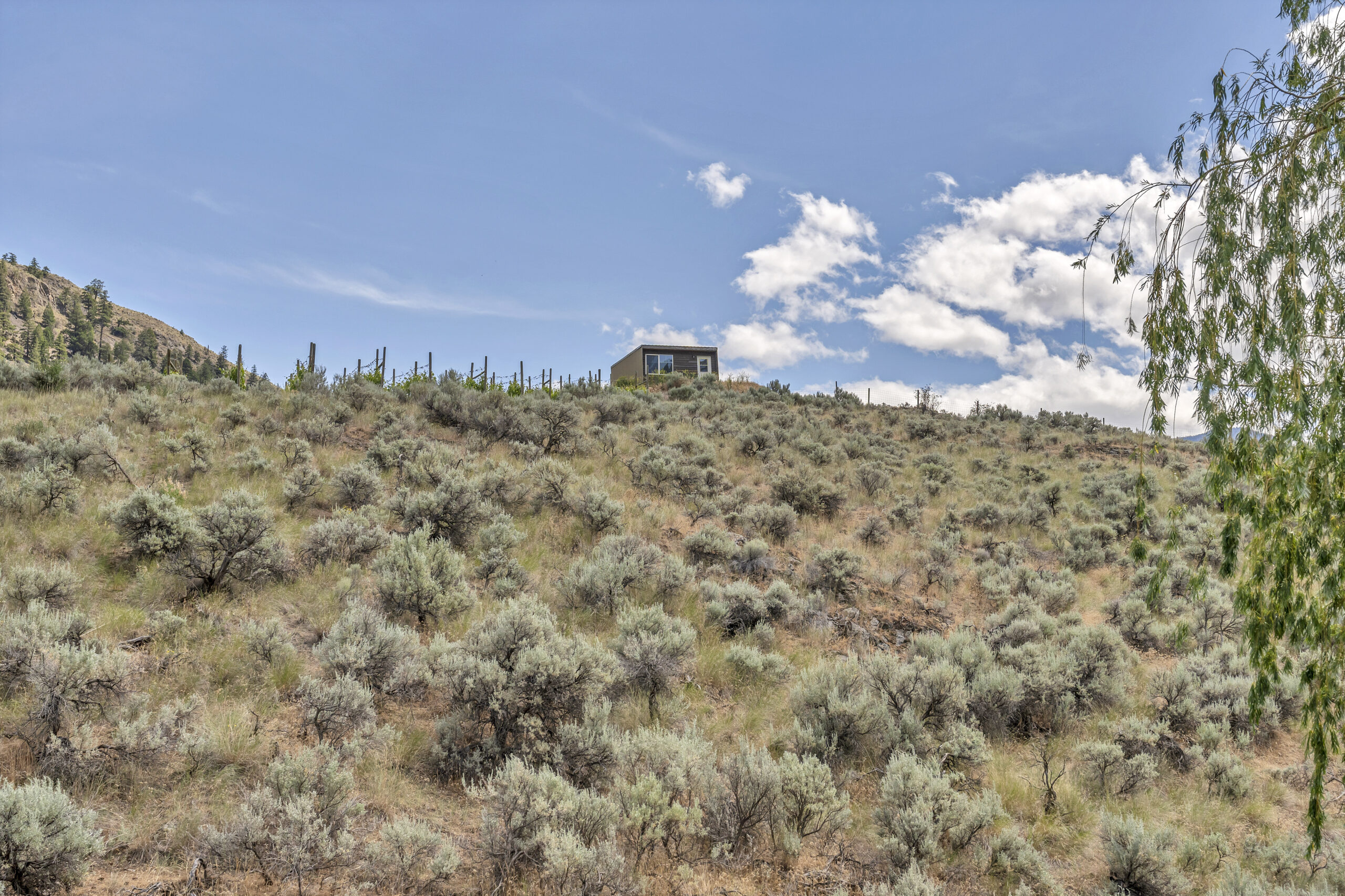 2795 Liddicoat Road Keremeos V0X 1N4