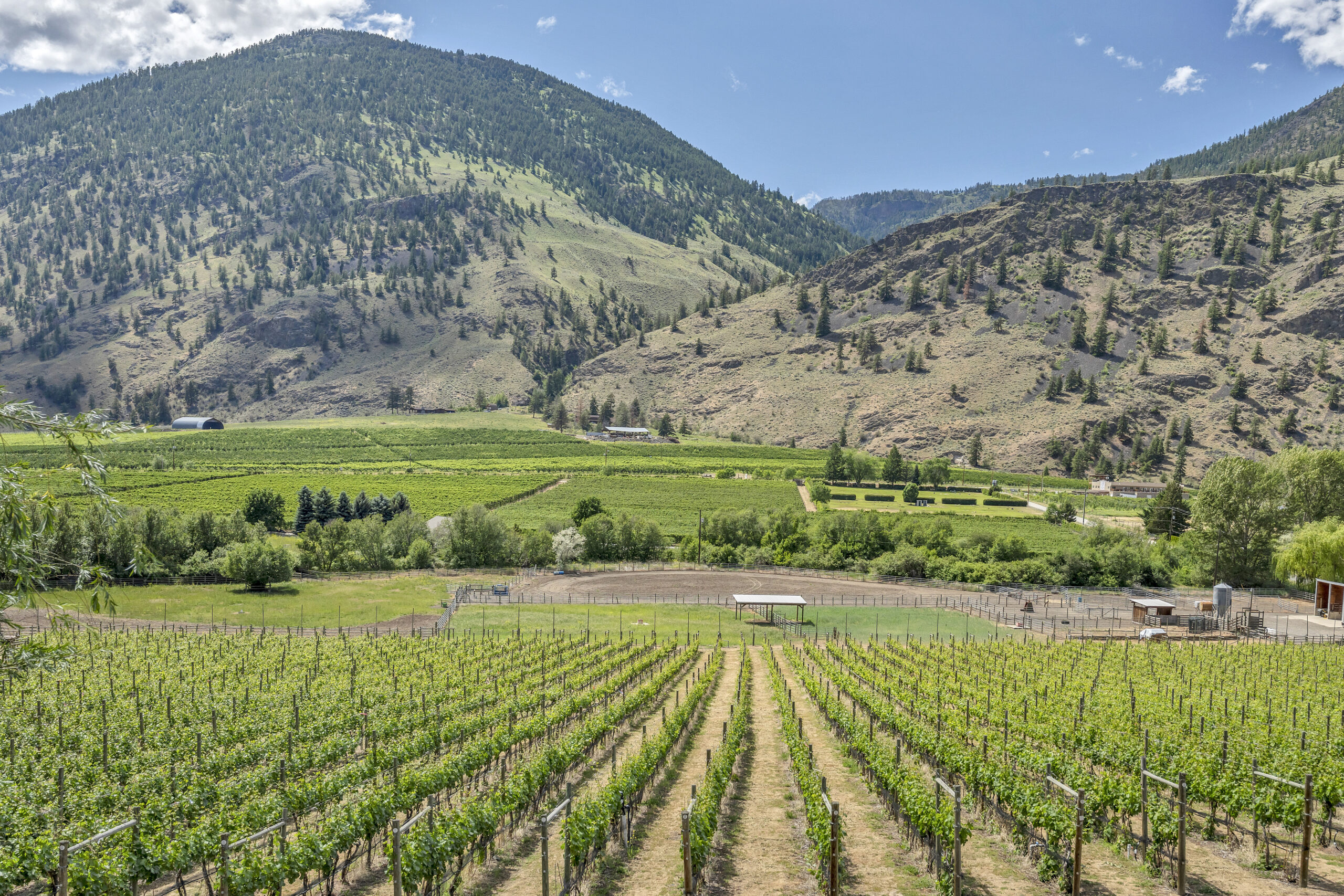 2795 Liddicoat Road Keremeos V0X 1N4