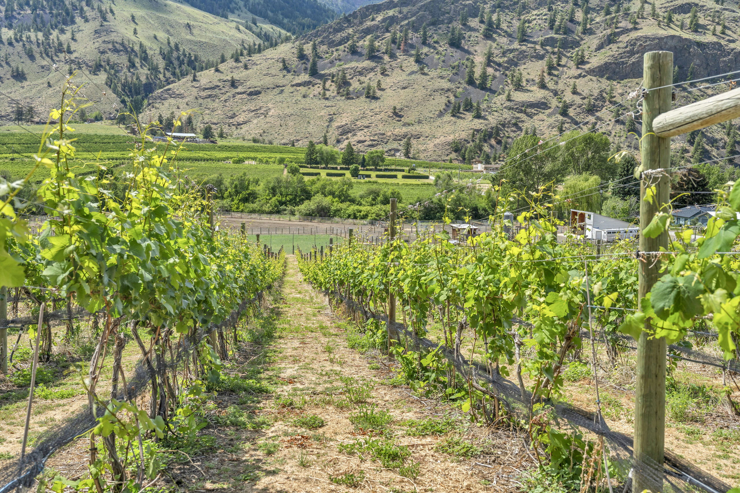 2795 Liddicoat Road Keremeos V0X 1N4