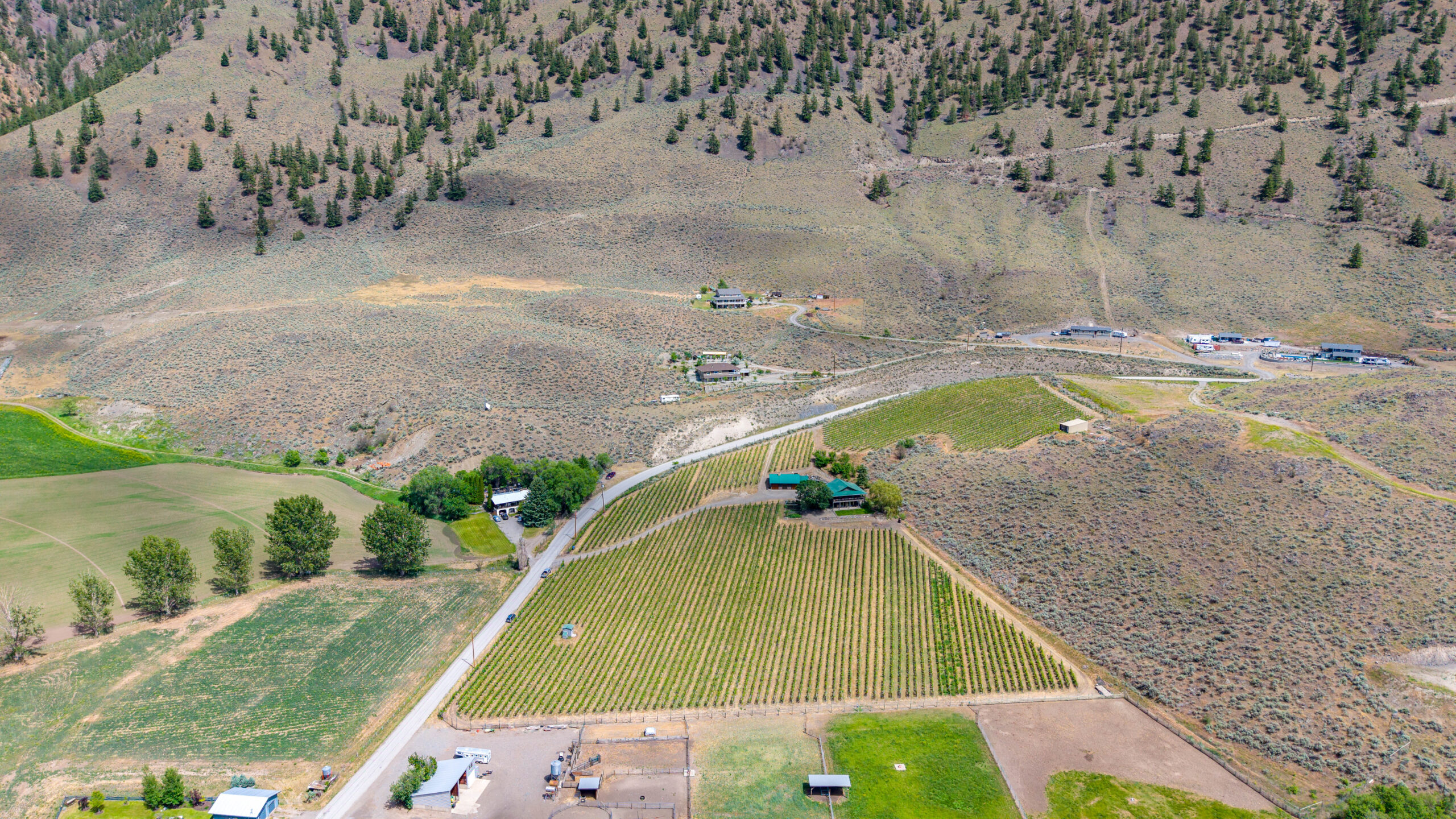 2795 Liddicoat Road Keremeos V0X 1N4