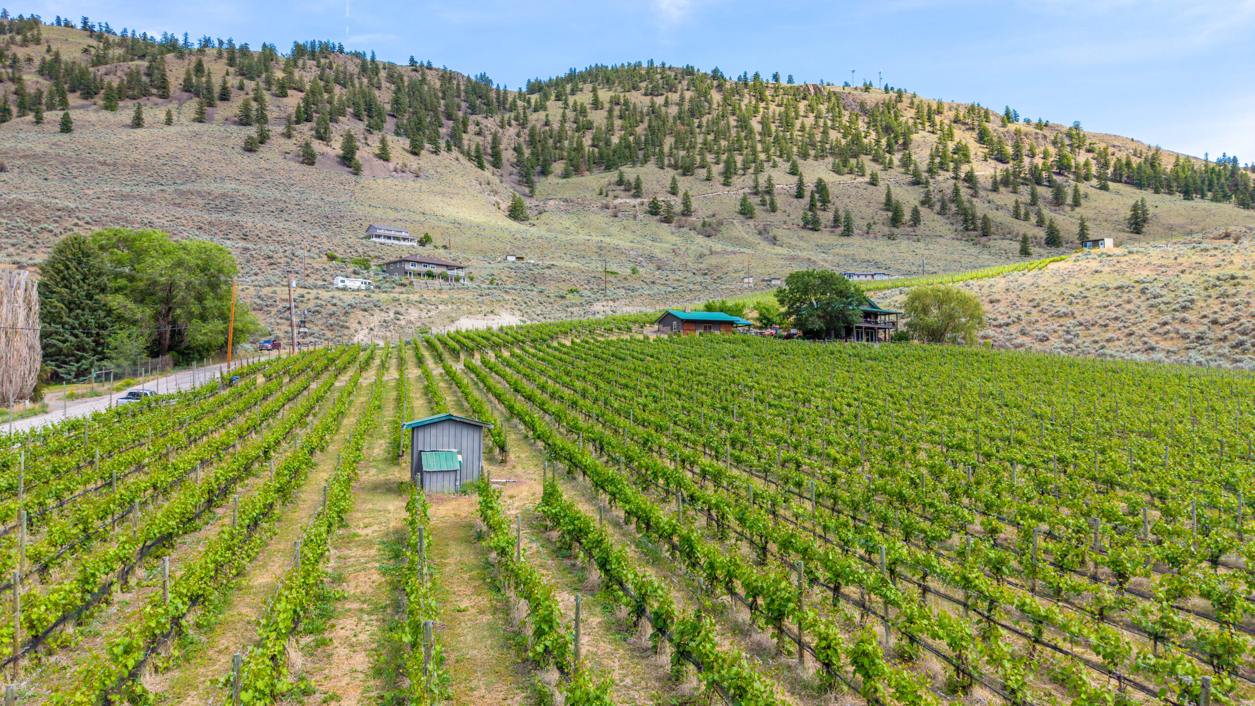 2795 Liddicoat Road Keremeos V0X 1N4