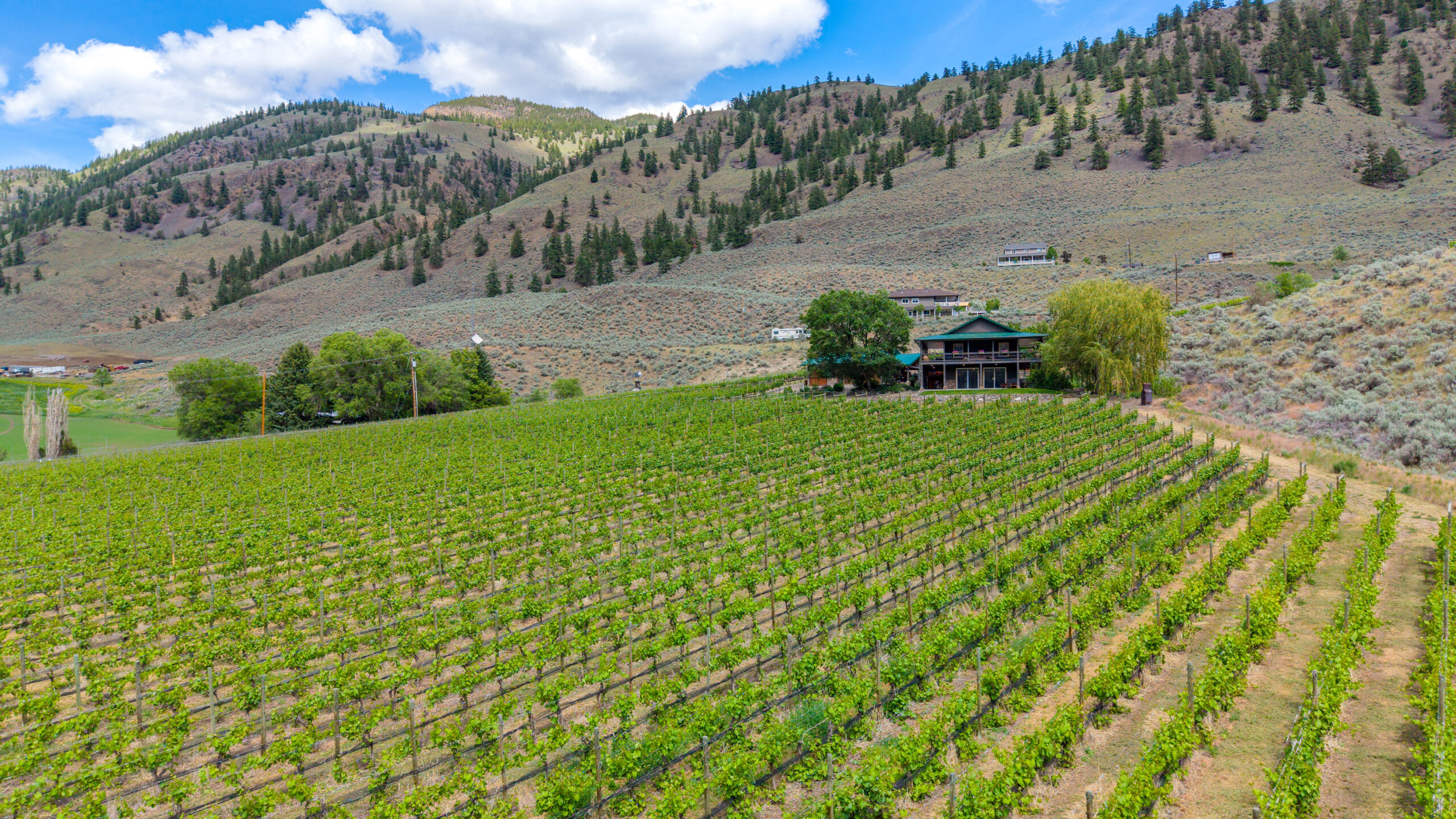 2795 Liddicoat Road Keremeos V0X 1N4