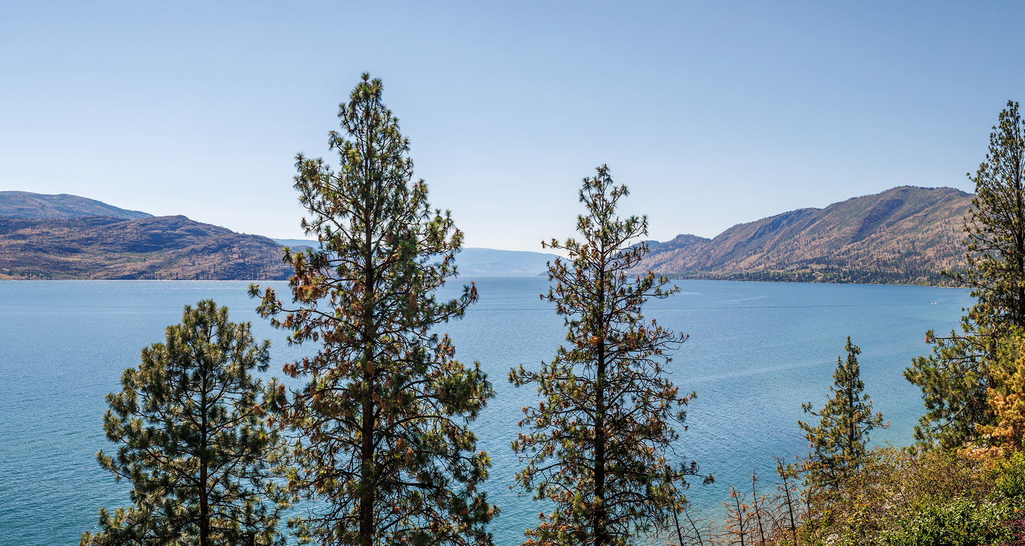 6415 Renfrew Road Peachland V0H 1X7