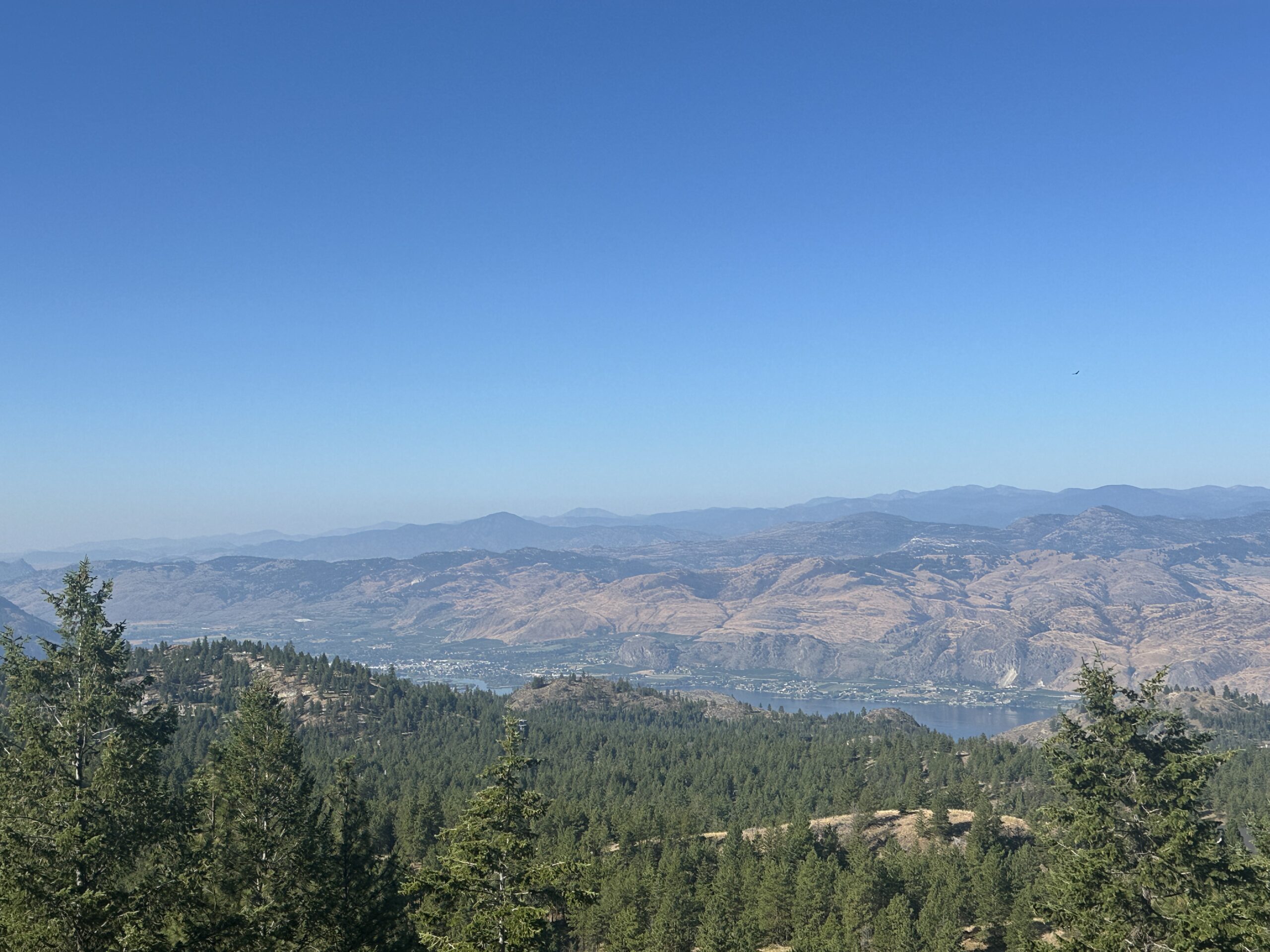 Lot 5 Sasquatch Point