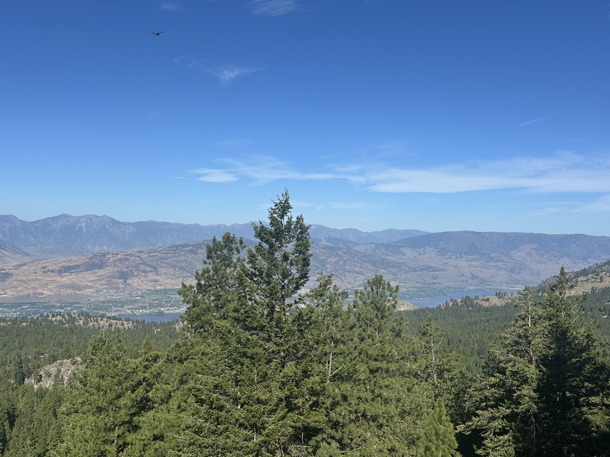 Lot 5 Sasquatch Point Osoyoos V0H 1V6