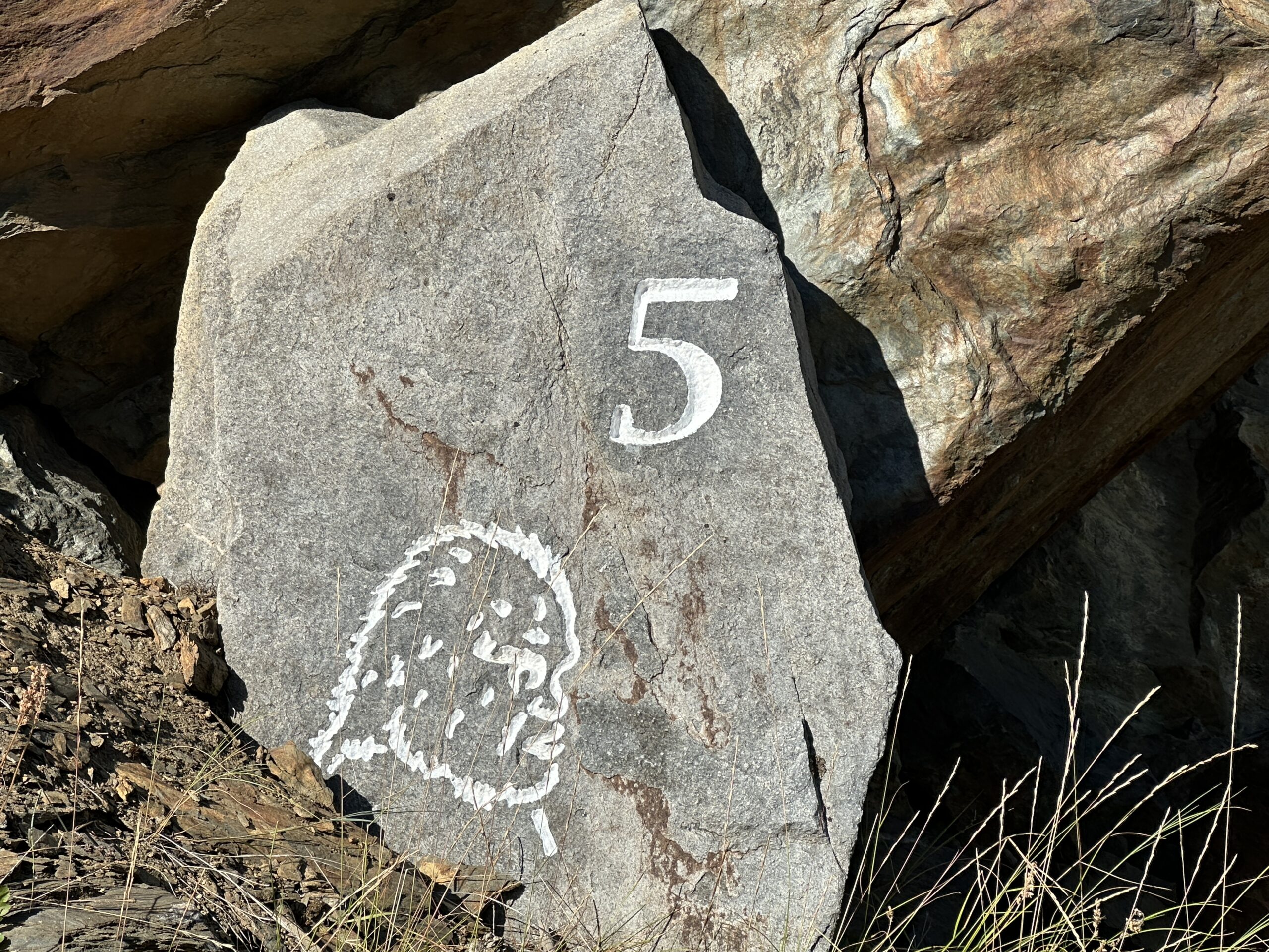 Lot 5 Sasquatch Point Osoyoos V0H 1V6