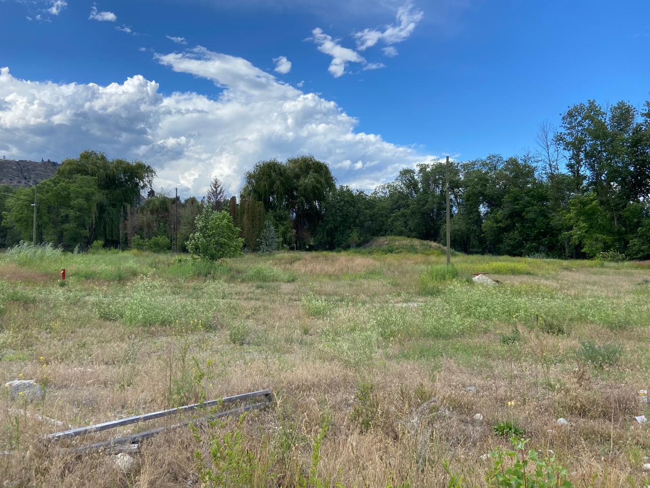 210 Co-op Avenue Proposed Lot Oliver V0H 1T0
