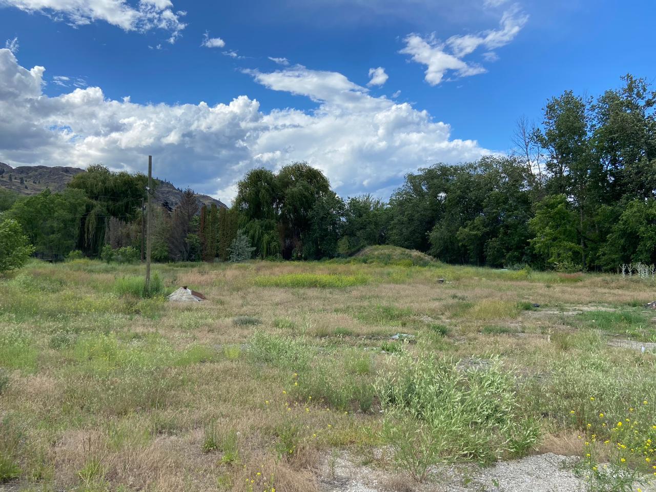 210 Co-op Avenue Proposed Lot Oliver V0H 1T0