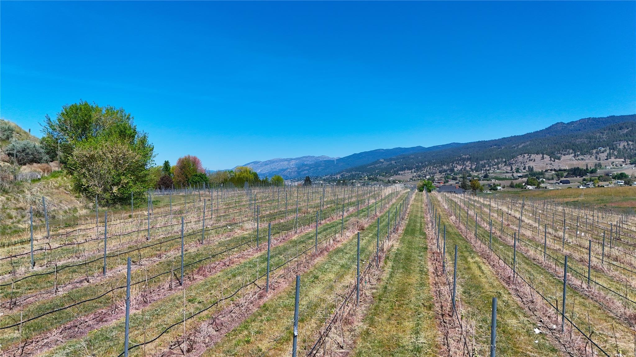 1170 Corbishley Avenue Penticton V2A 8V2