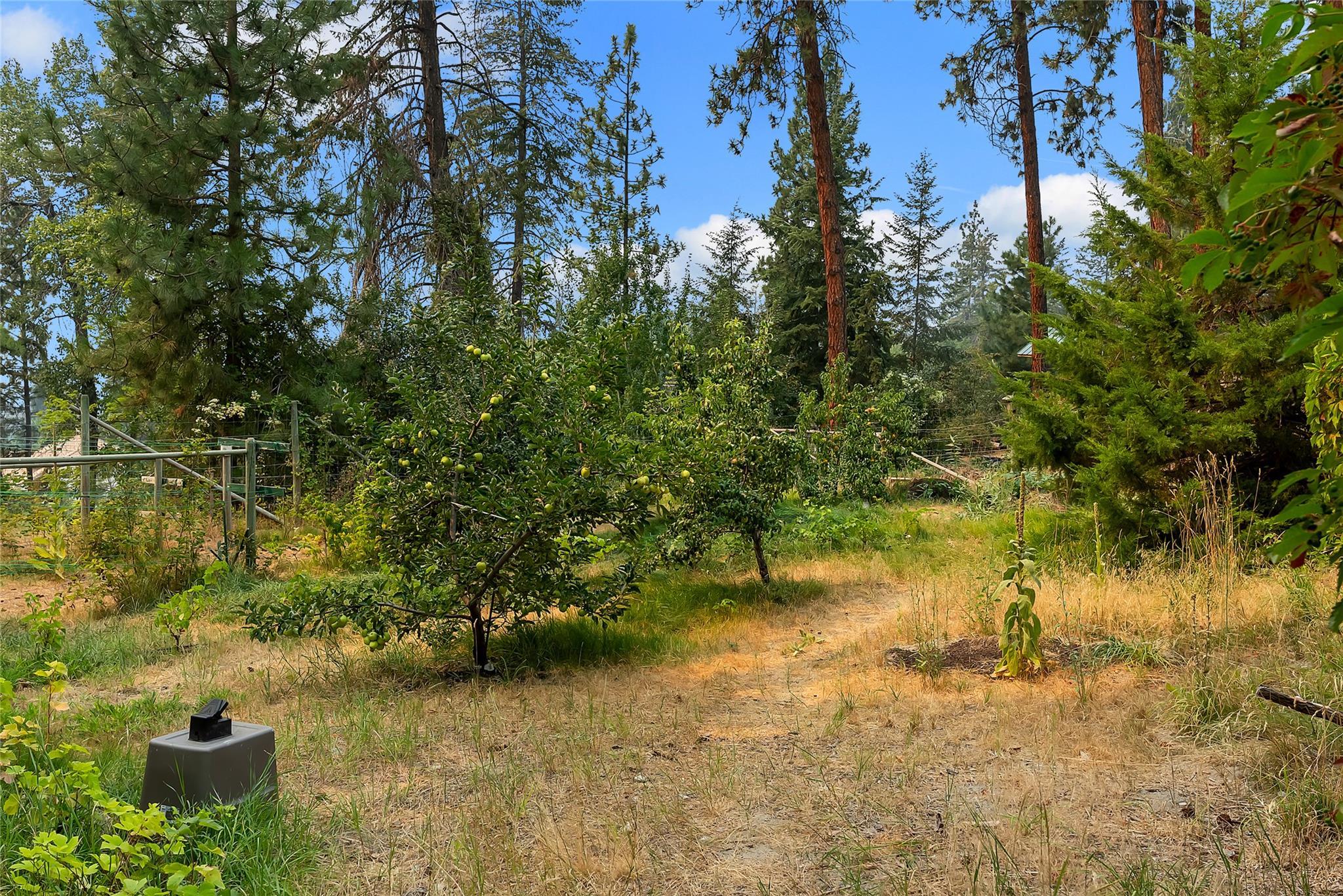 3272 Juniper Drive Naramata V0H 1N1