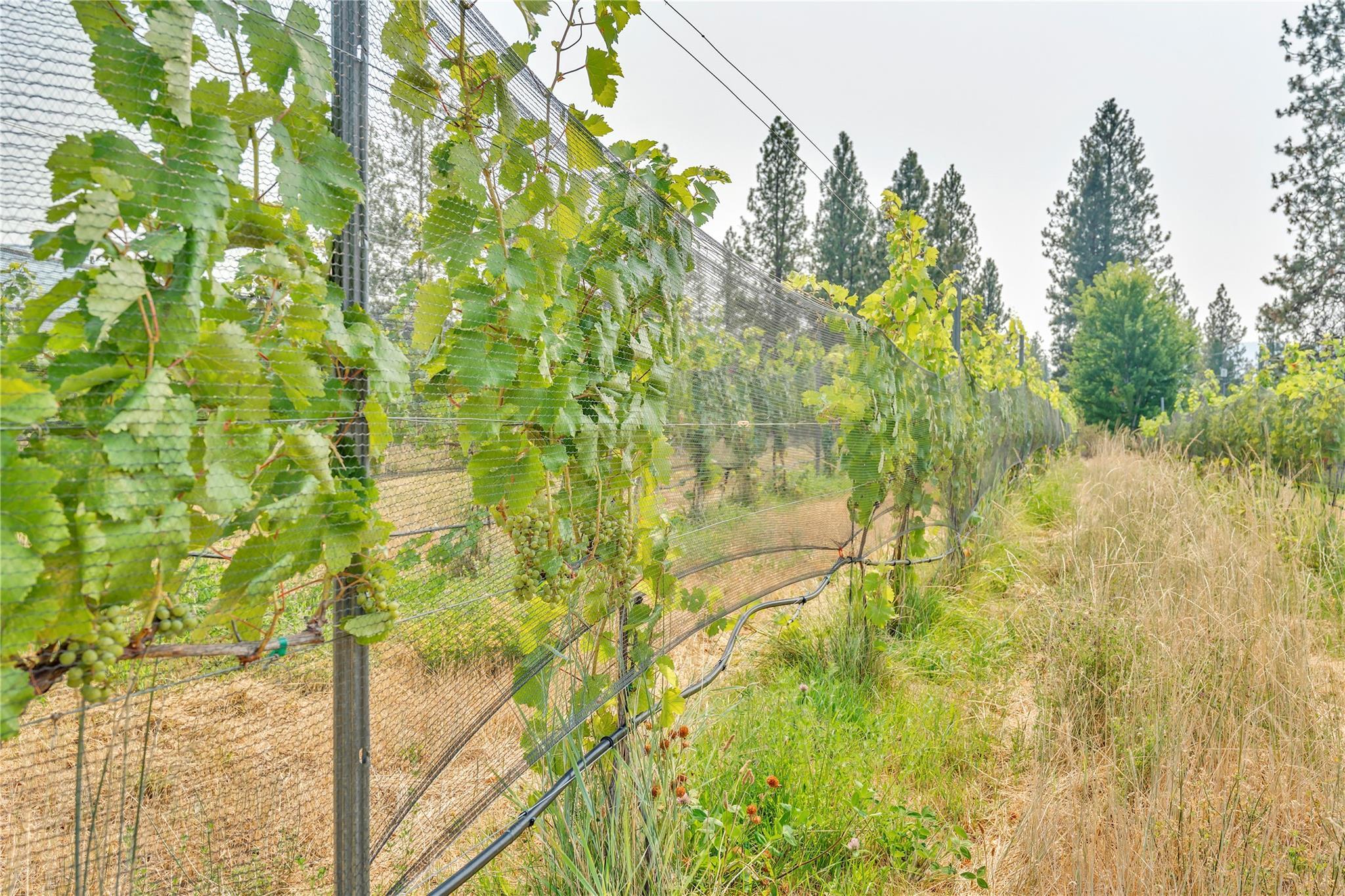 4112 McLean Creek Road Okanagan Falls V0H 1R1