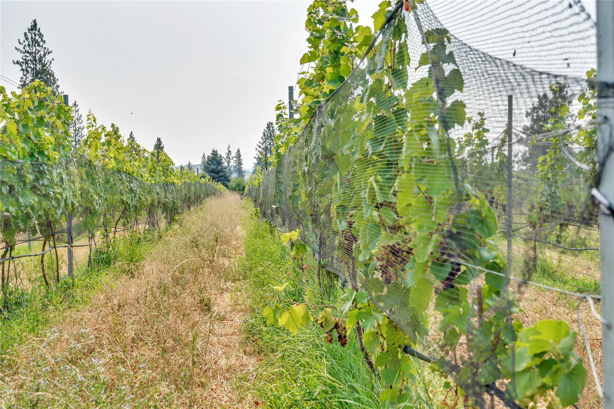 4112 McLean Creek Road Okanagan Falls V0H 1R1
