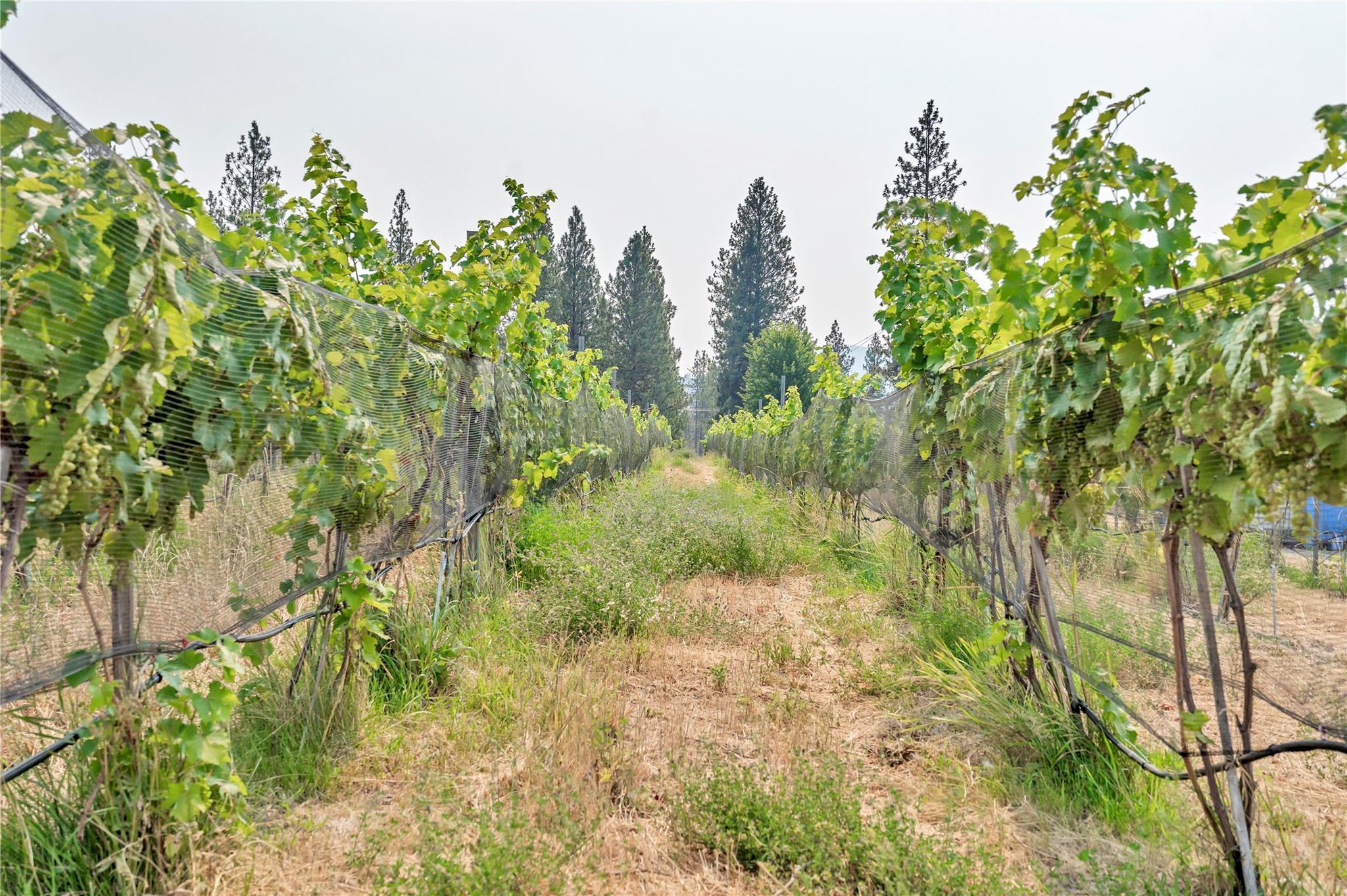4112 McLean Creek Road Okanagan Falls V0H 1R1