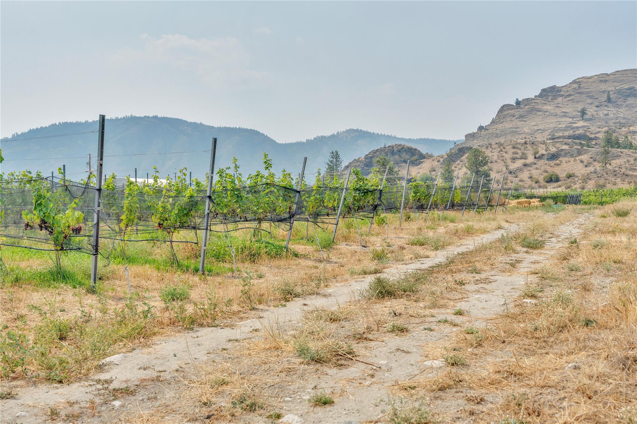 4112 McLean Creek Road Okanagan Falls V0H 1R1
