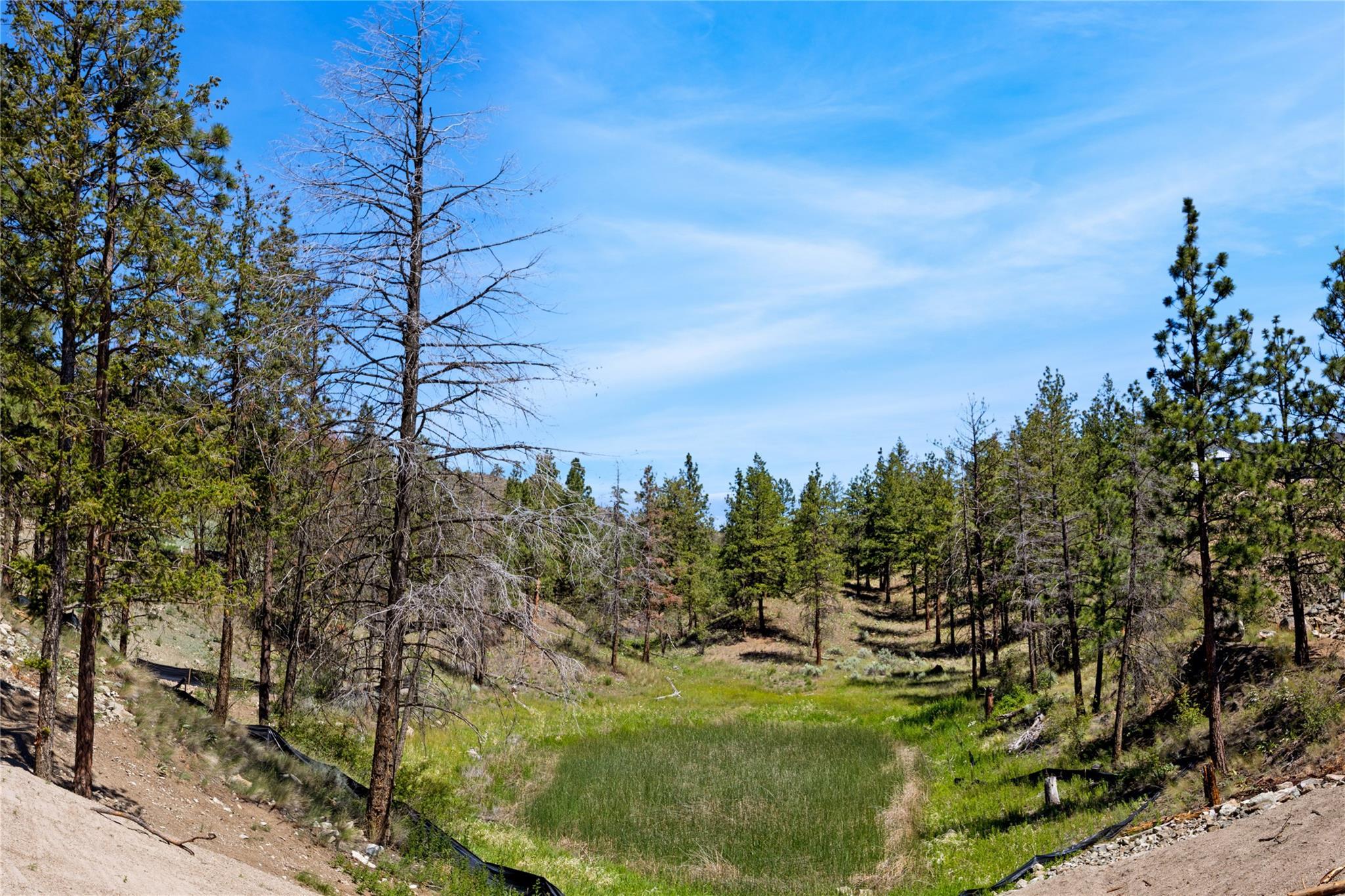 17587 Sanborn Street Summerland V0H 1Z3
