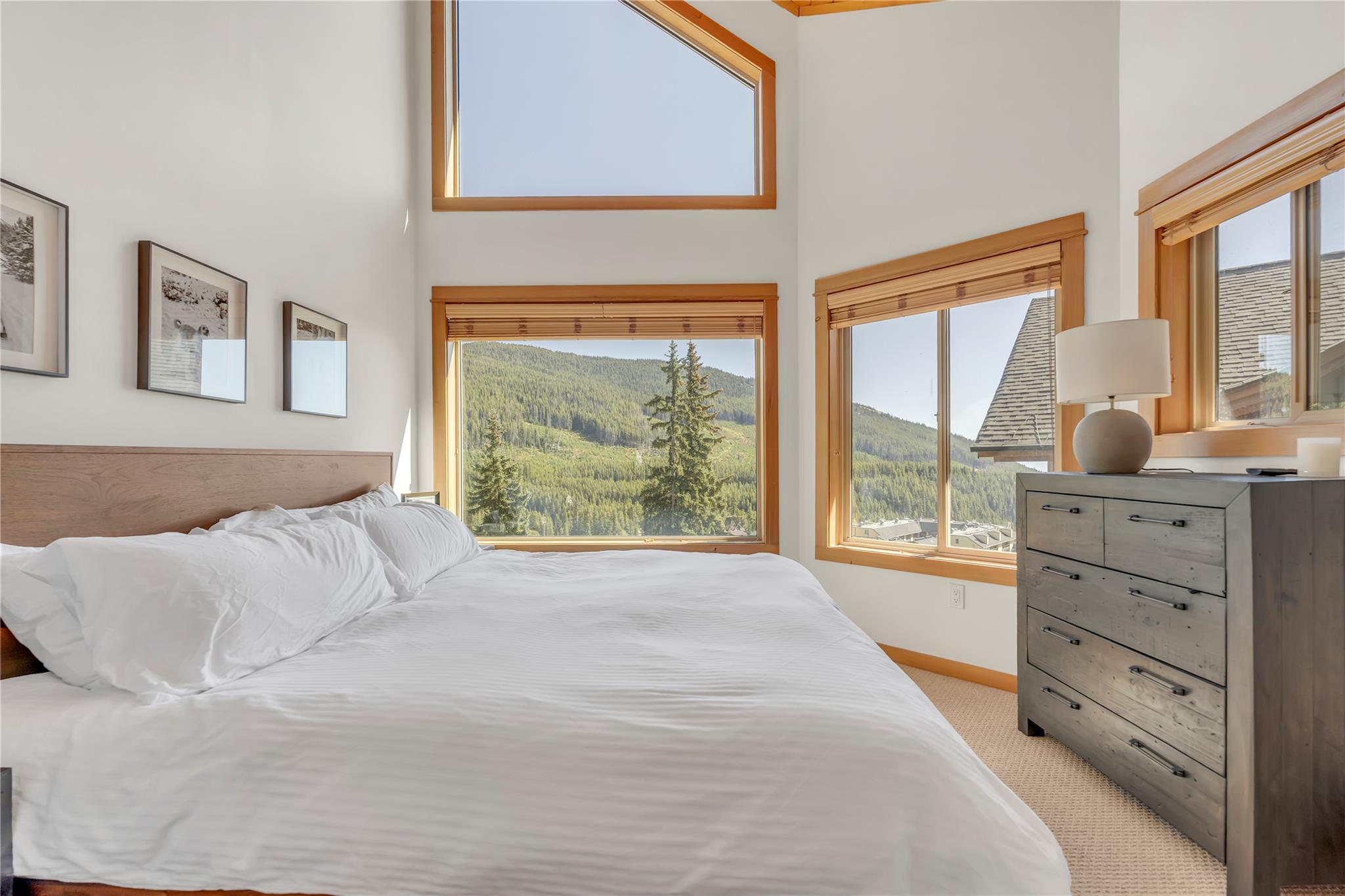 306 Clearview Road 14 Apex Mountain V0H 1K0