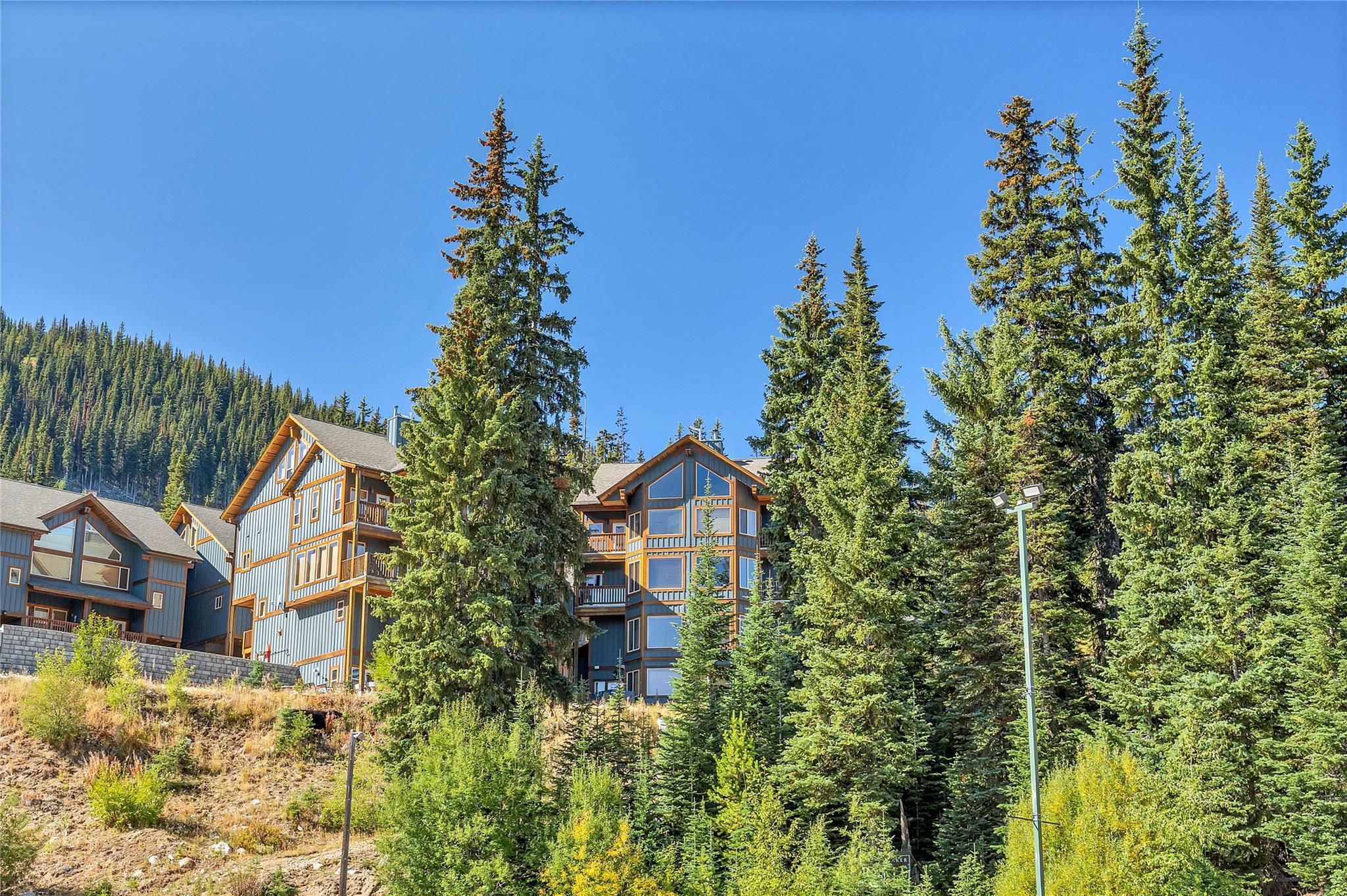 306 Clearview Road 14 Apex Mountain V0H 1K0