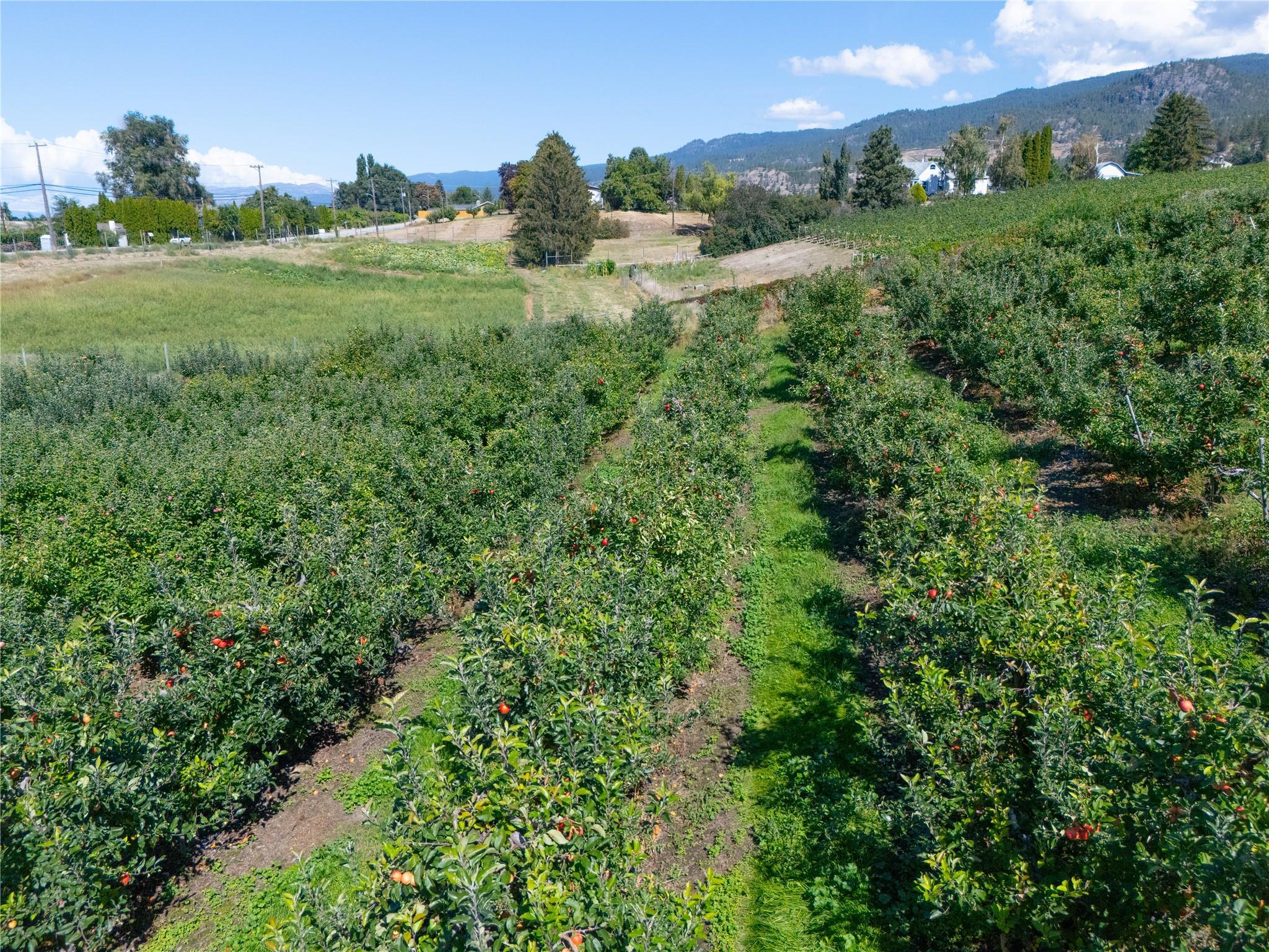 150 Upper Bench Road Penticton V2A 8T4