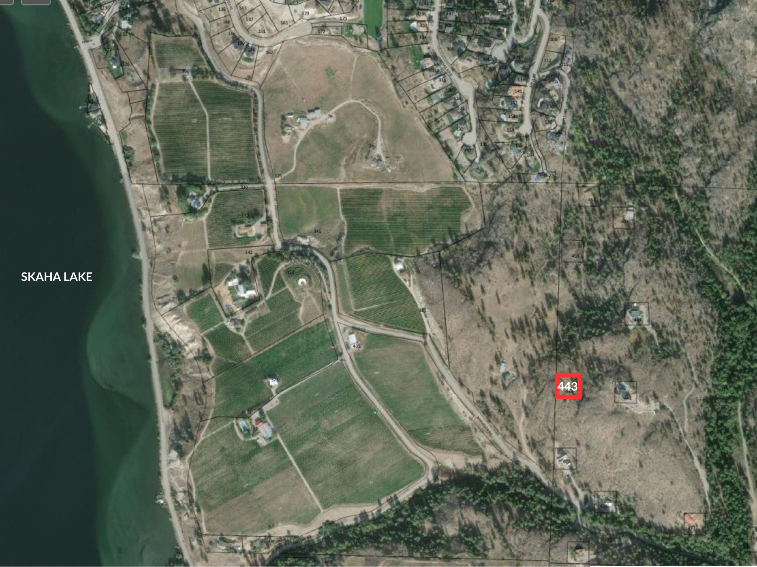 443 Matheson Road Okanagan Falls V0H 1R5