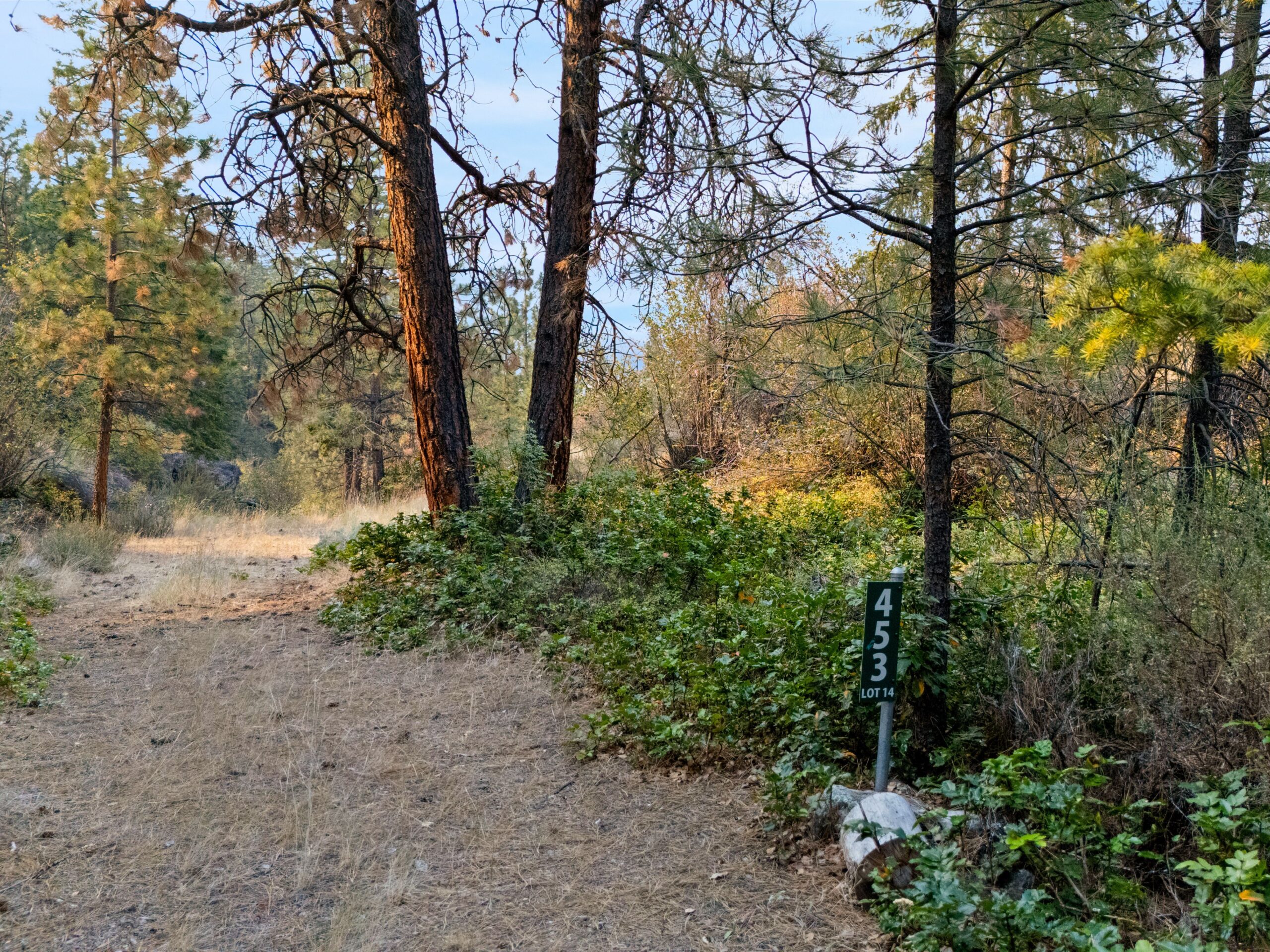 453 Matheson Road Okanagan Falls V0H 1R5