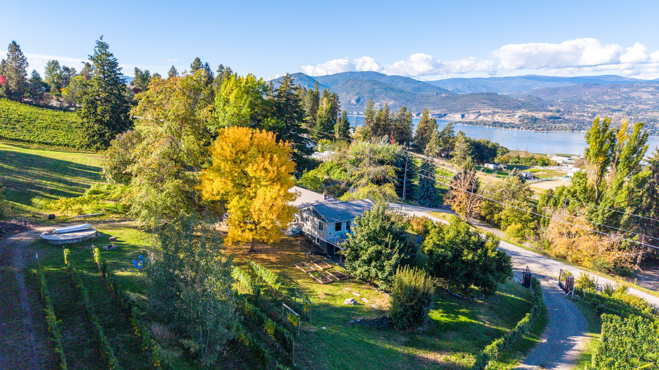 2864 Arawana Road