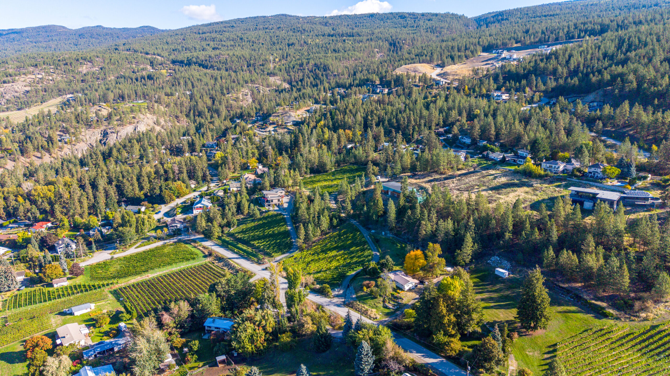2864 Arawana Road Naramata V0H 1N1