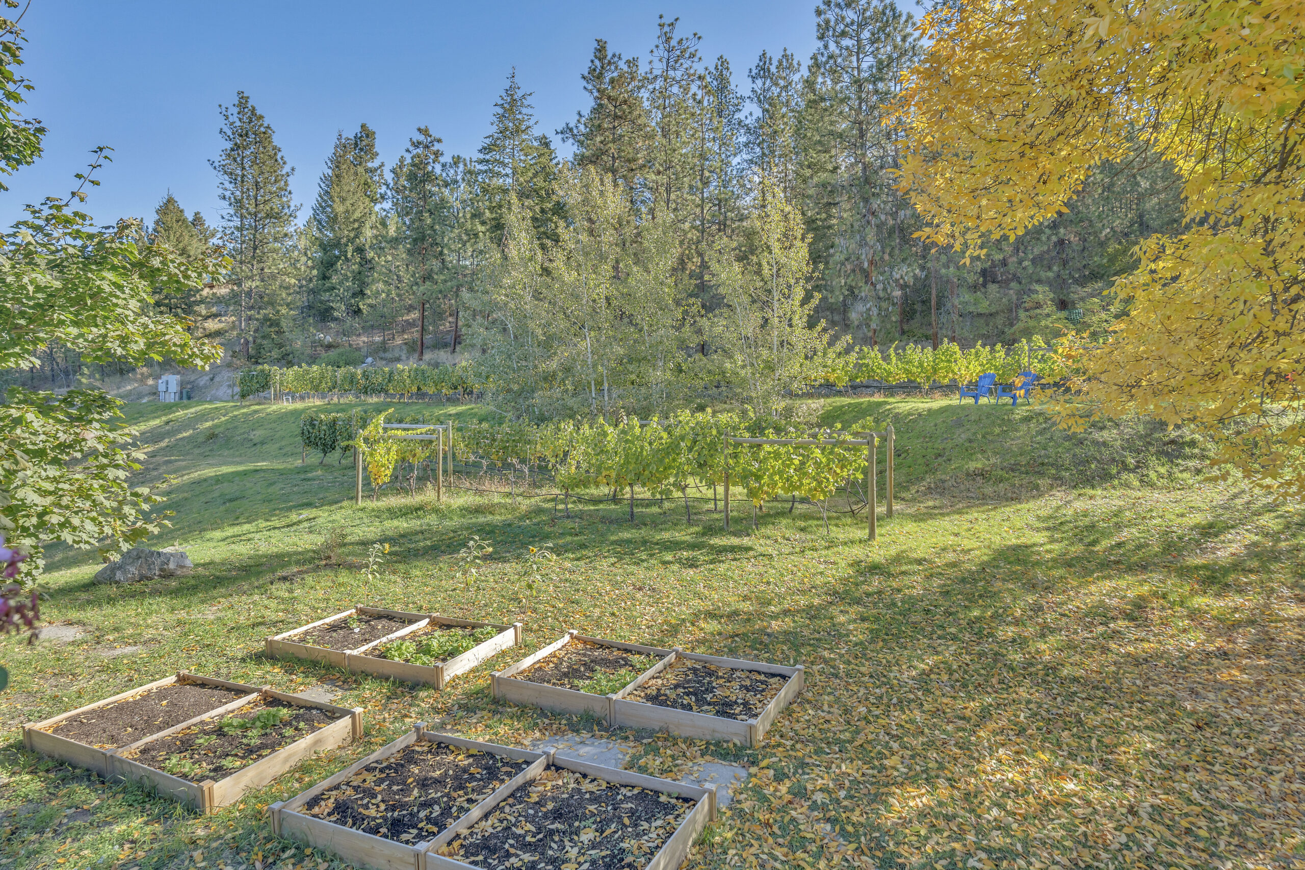 2864 Arawana Road Naramata V0H 1N1
