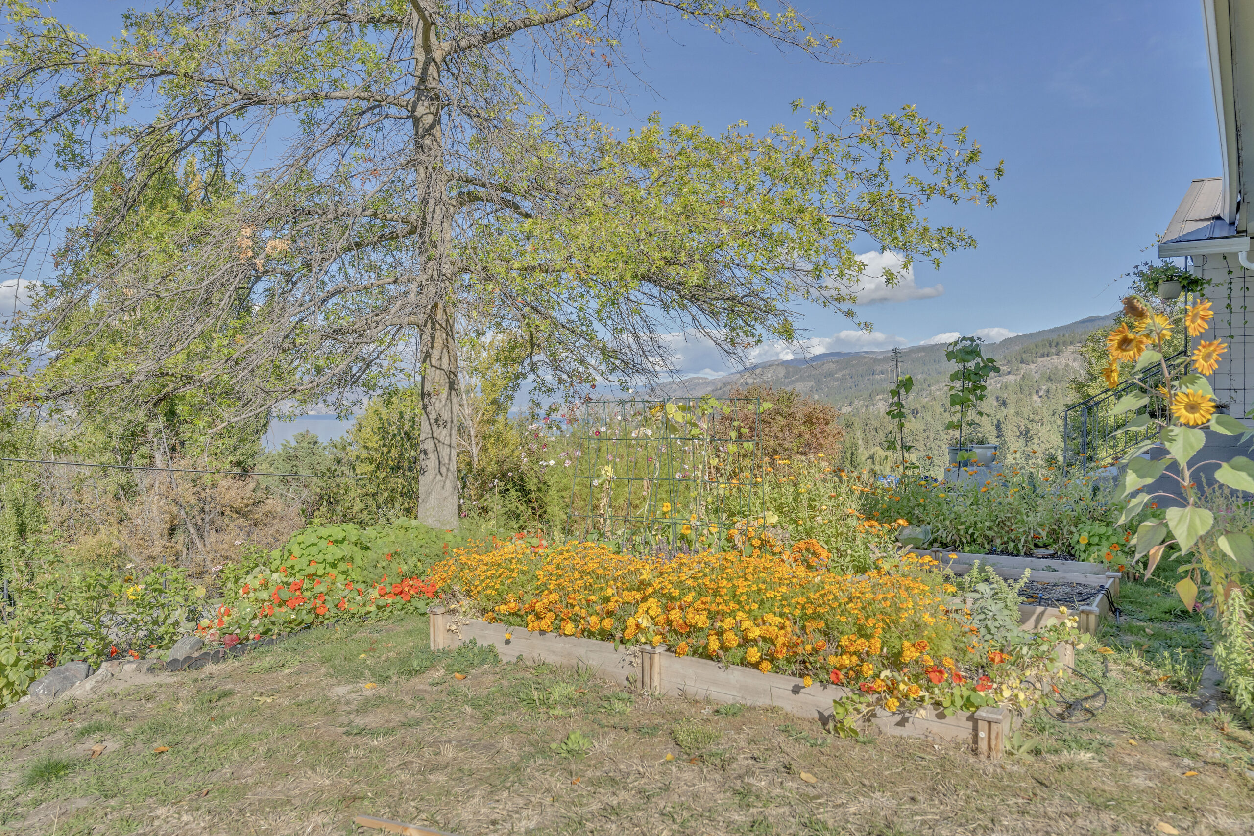 2864 Arawana Road Naramata V0H 1N1