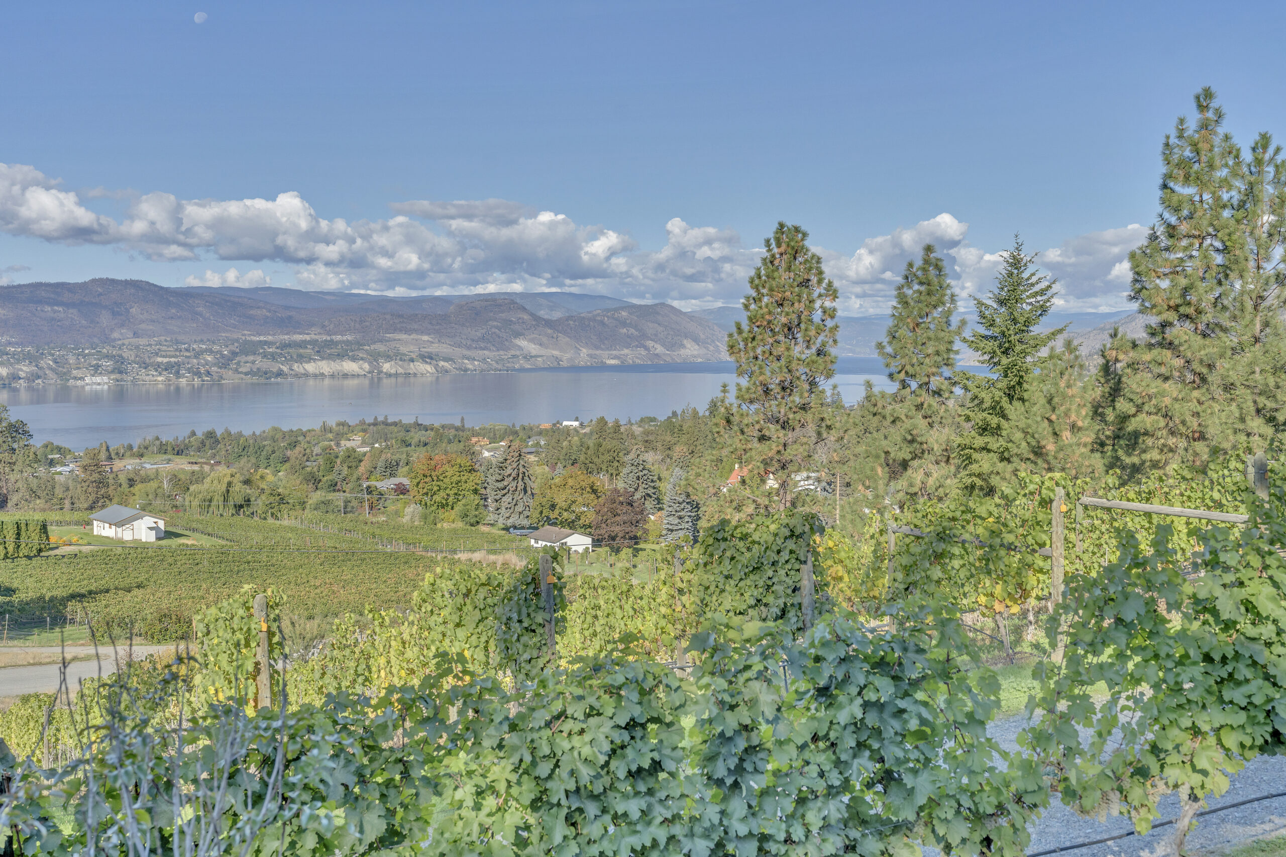2864 Arawana Road Naramata V0H 1N1
