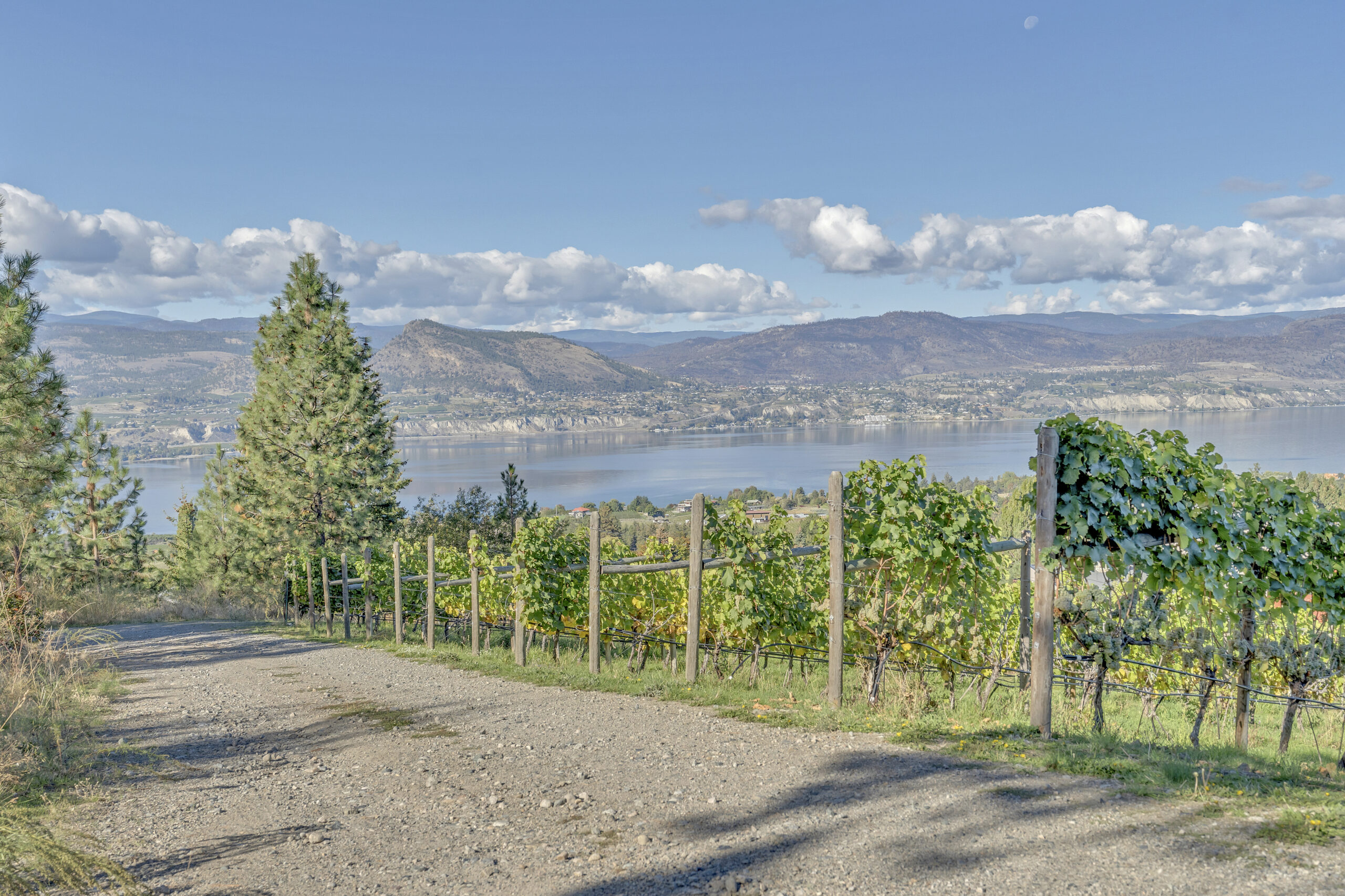 2864 Arawana Road Naramata V0H 1N1