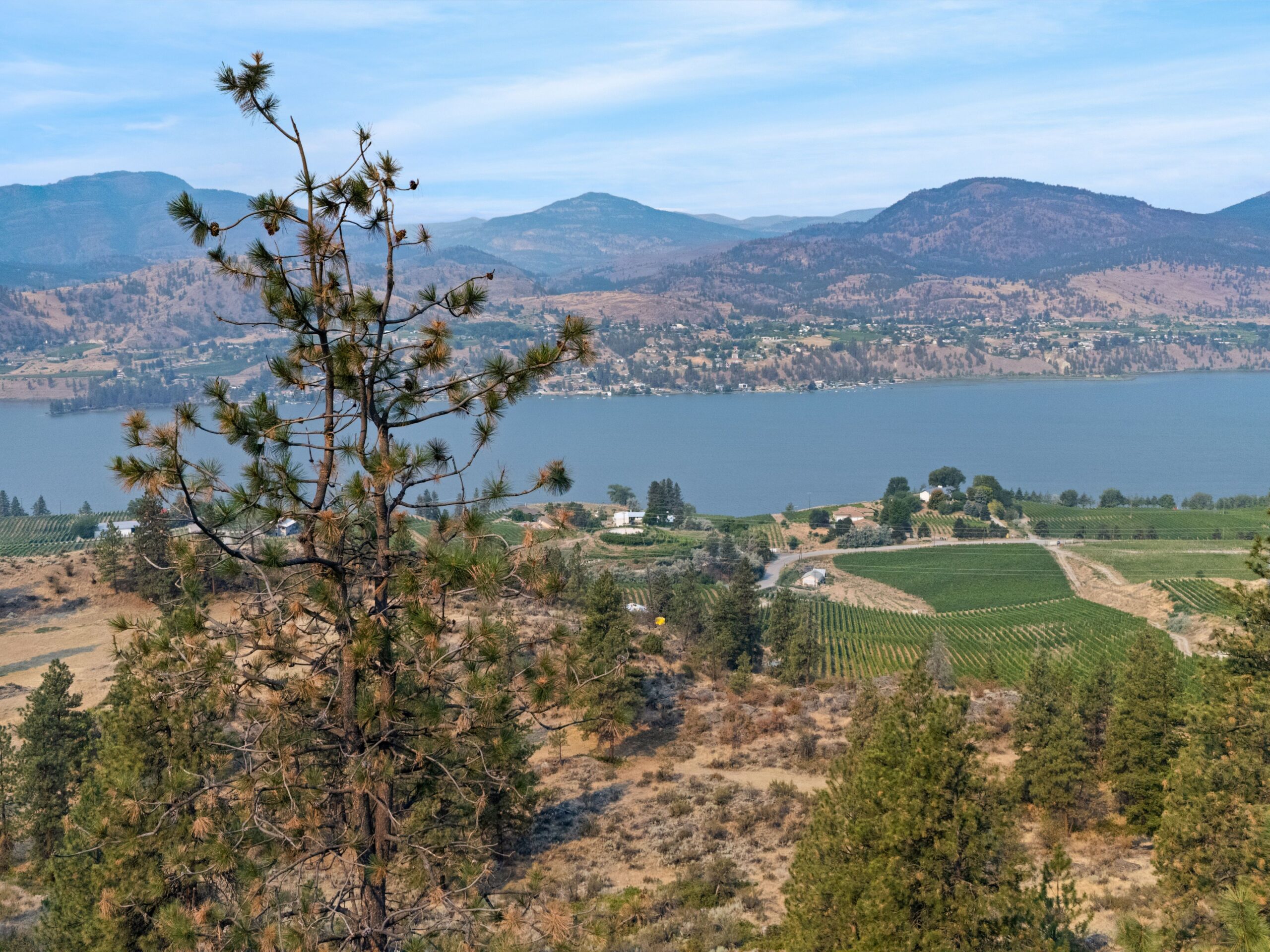 453 Matheson Road Okanagan Falls V0H 1R5