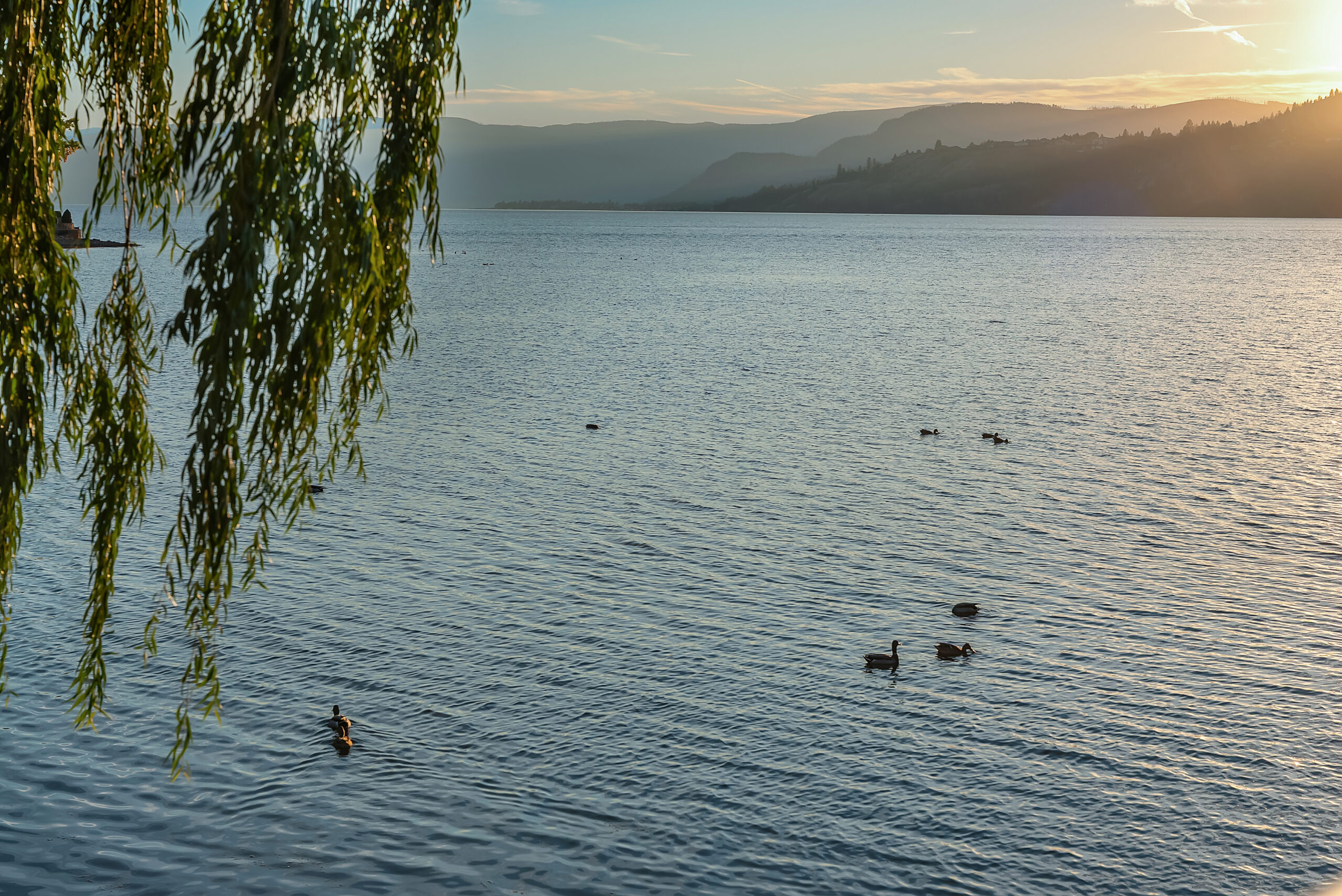 3300 Lakeshore Road 418 Kelowna V1W 0H6