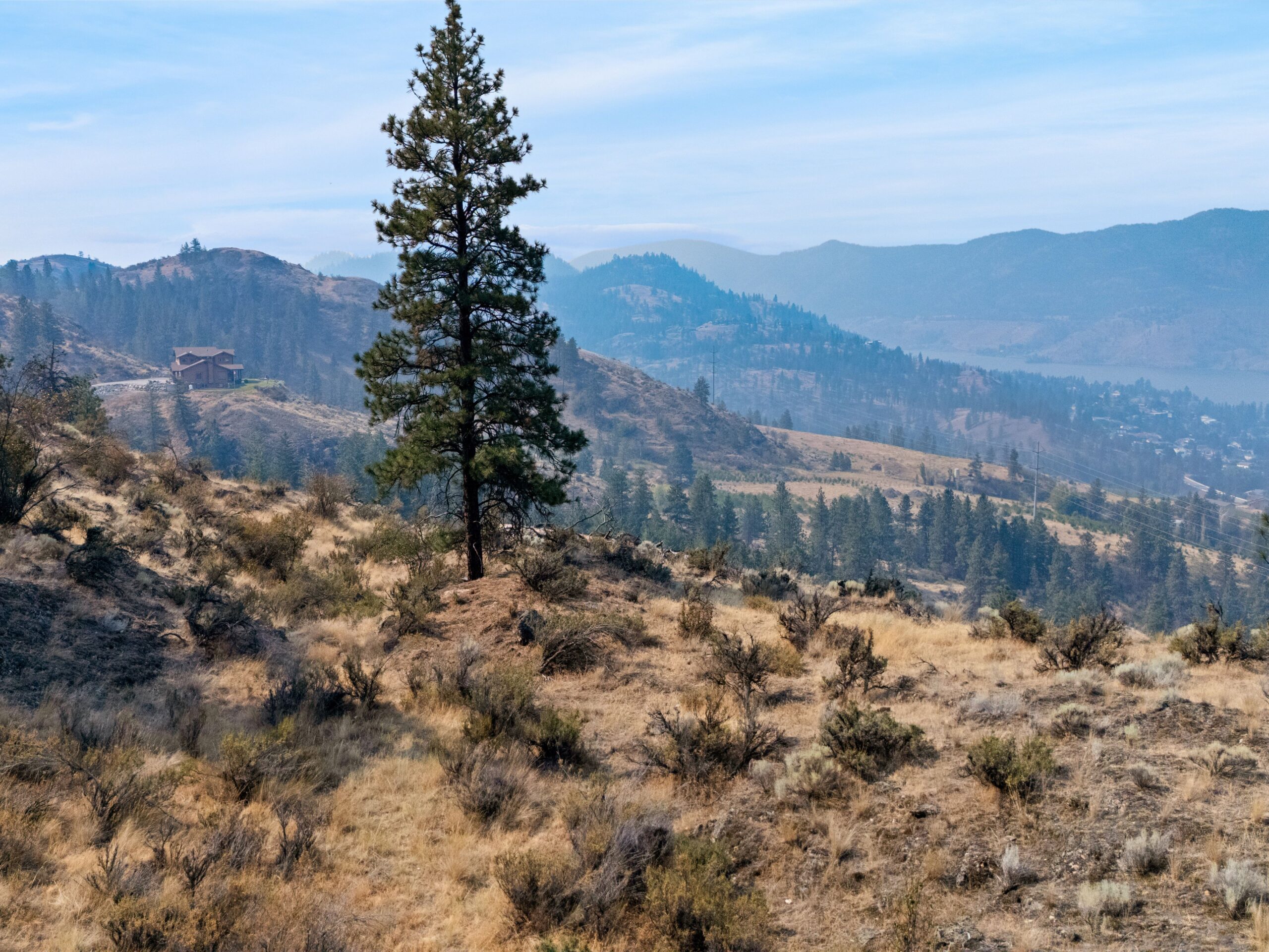 443 Matheson Road Okanagan Falls V0H 1R5