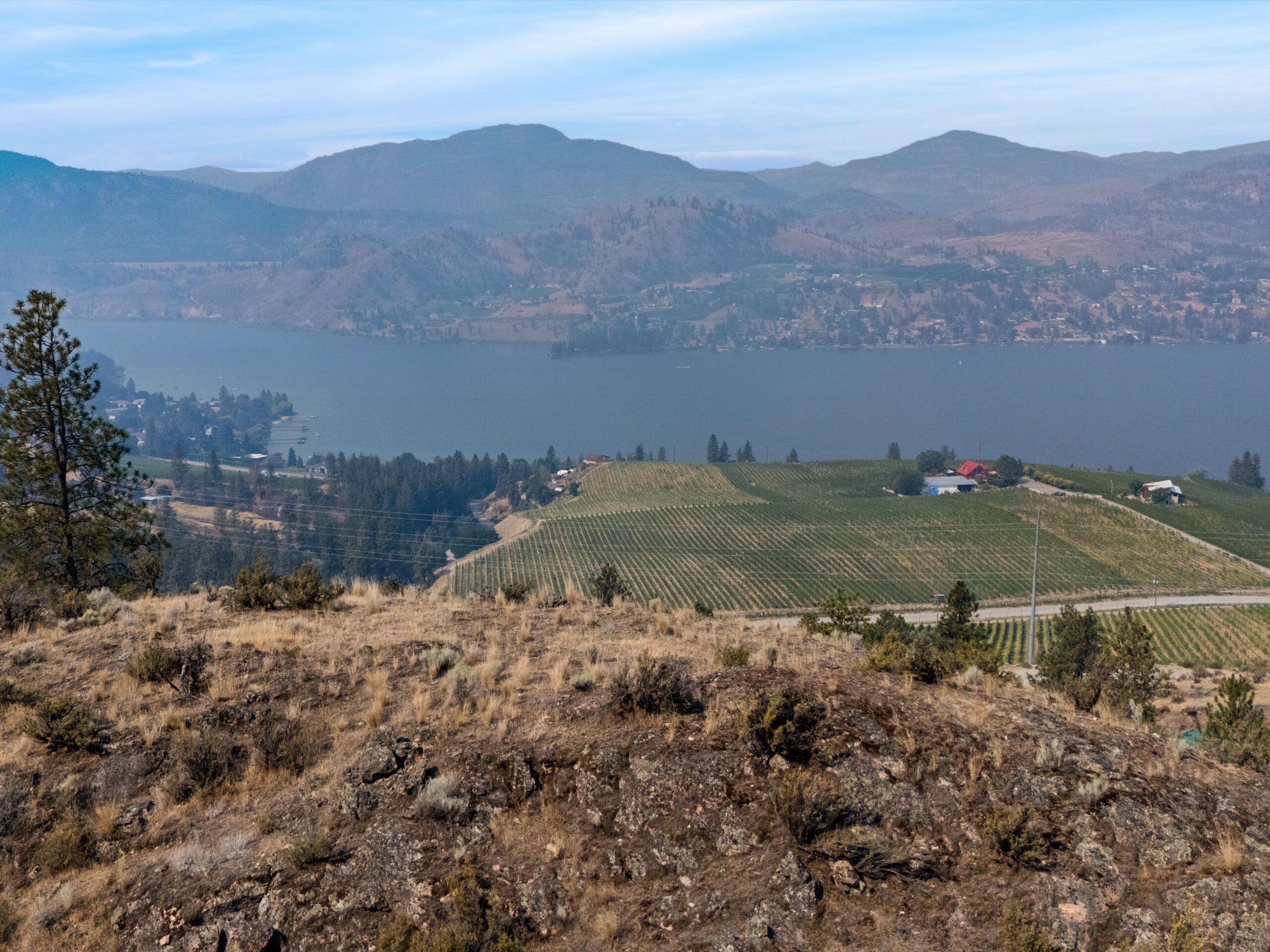 443 Matheson Road Okanagan Falls V0H 1R5