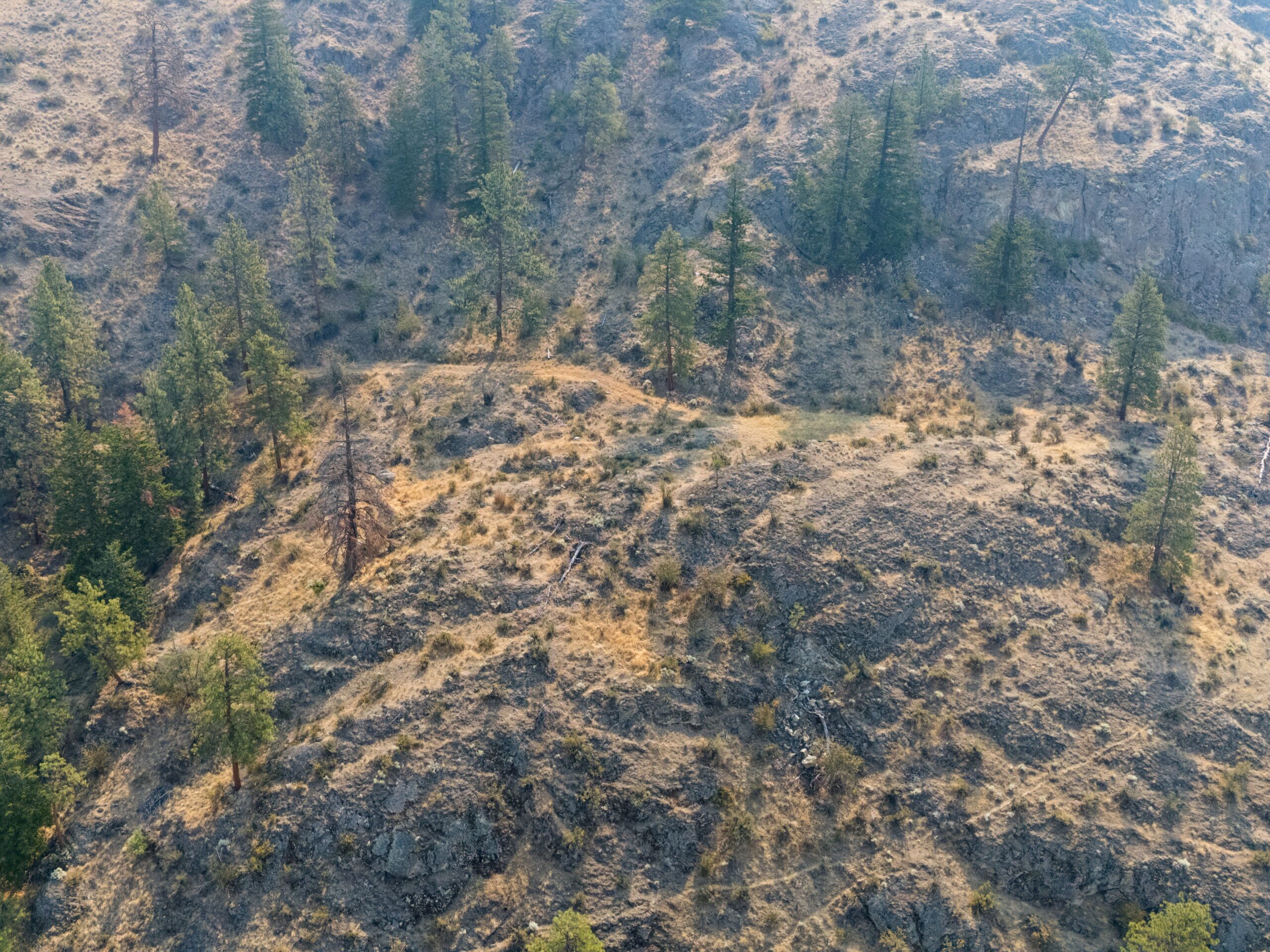 443 Matheson Road Okanagan Falls V0H 1R5